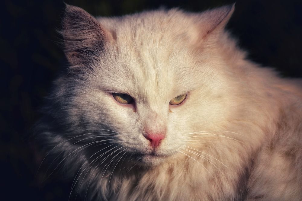 Photograph by Артемий