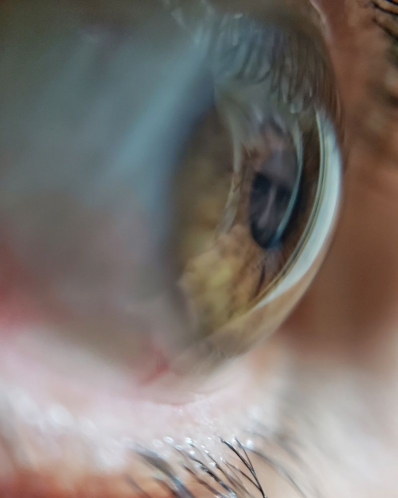 Фотография автора Wilson Mendes fh