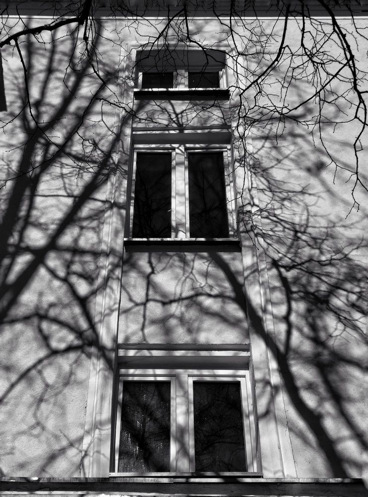 Play shadows