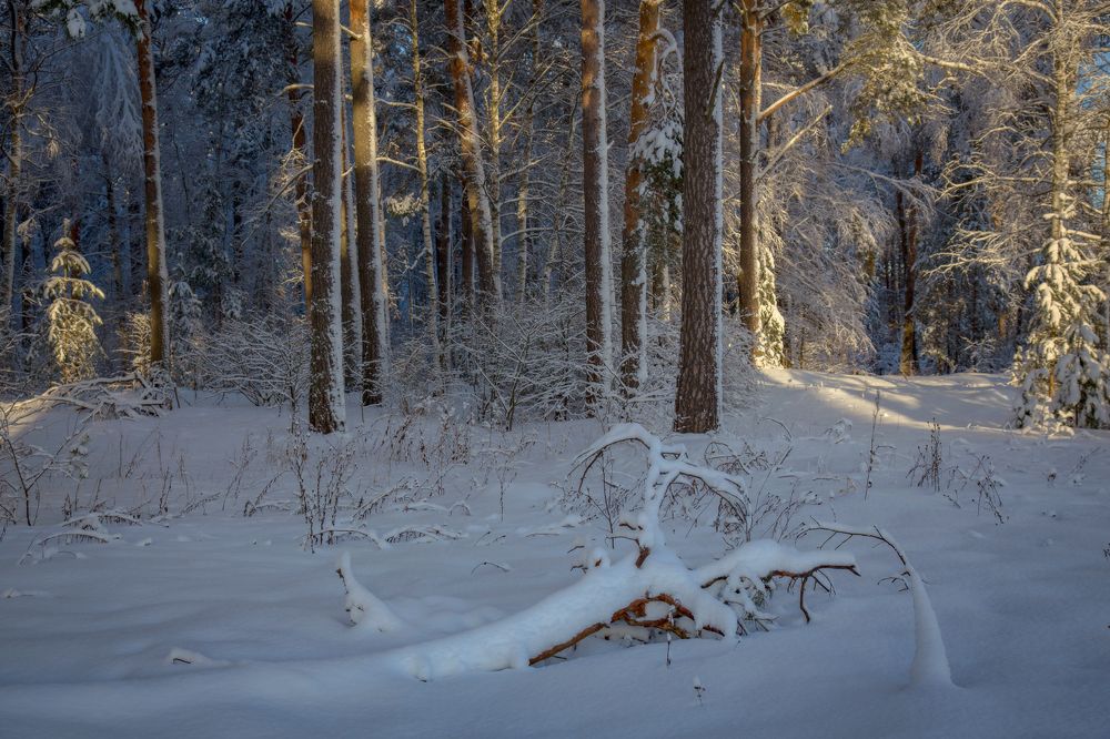 Photograph by Дмитрий Алексеев