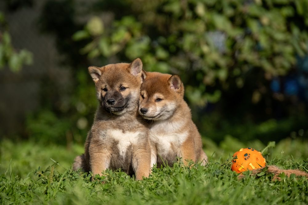 Photograph by Марина Виноградова