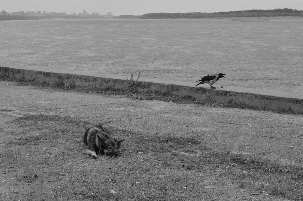 Photograph by Анна Торопова