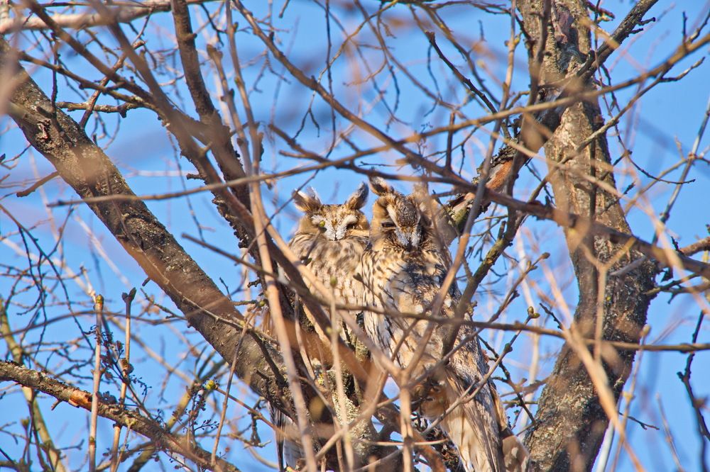 Photograph by Алексей Бородинов