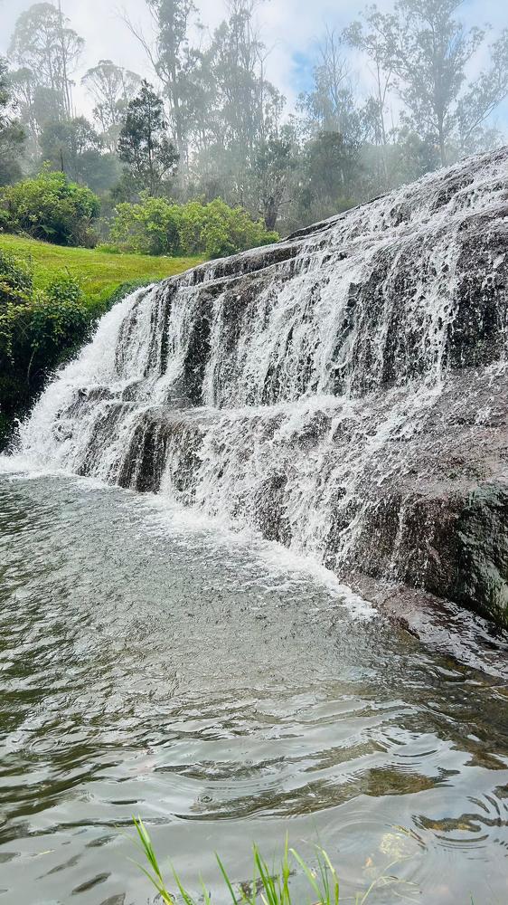 Фотография автора Hemalatha kothamasi