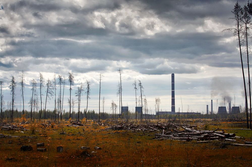 Photograph by Yulia Deimos