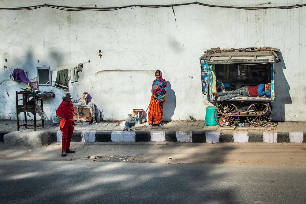 Фотография автора Андрей Пожарский