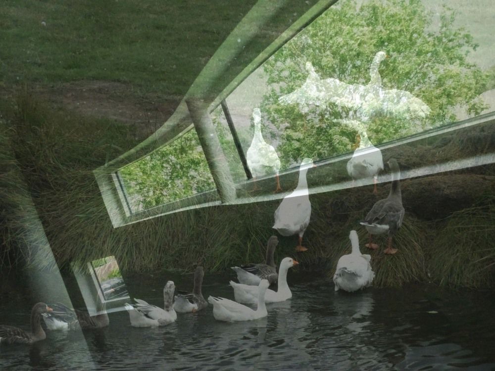 Photograph by Sona Sahakian