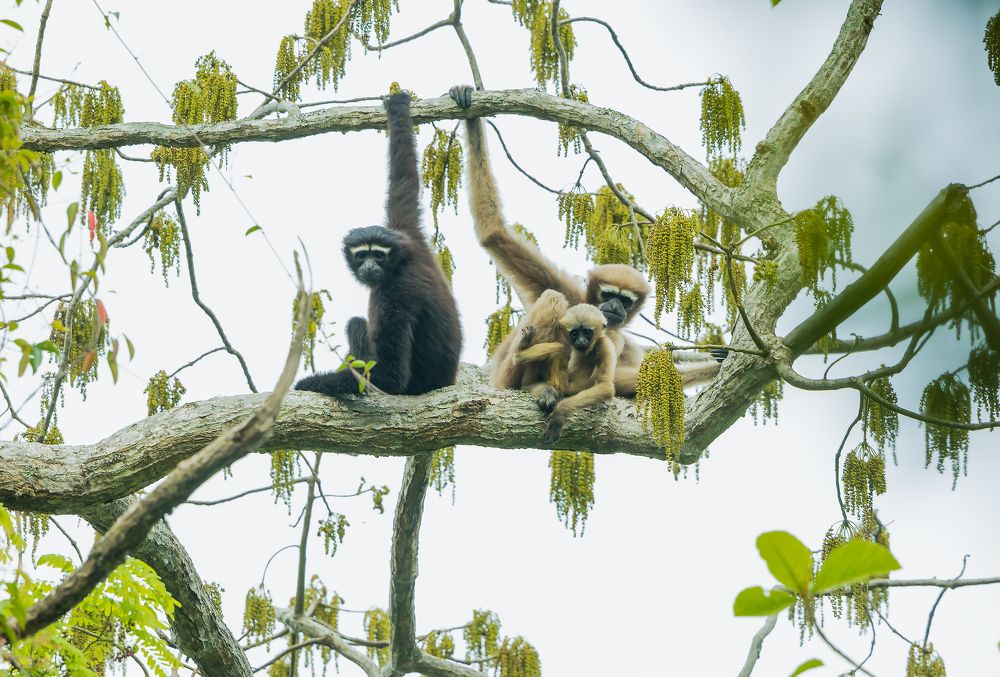 Photograph by Abhisek Acharya