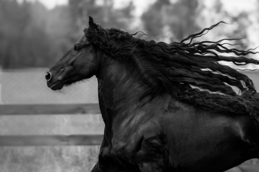 Фотография автора Олеся Евгеньевна