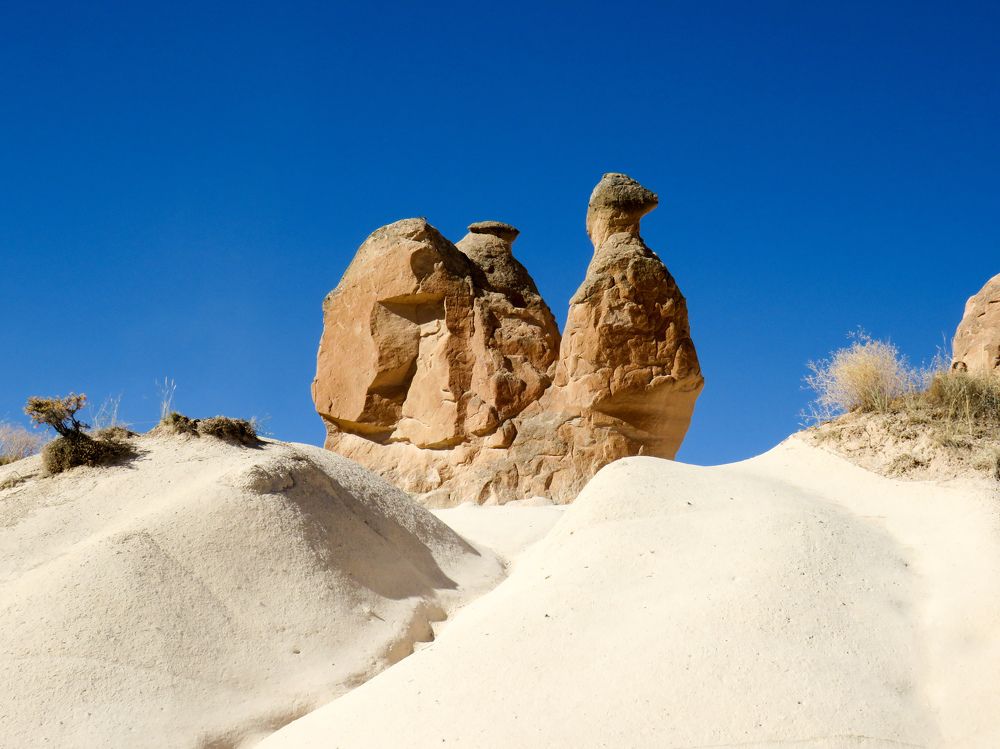 Stone camel in Devrent Valley, Cappadocia
