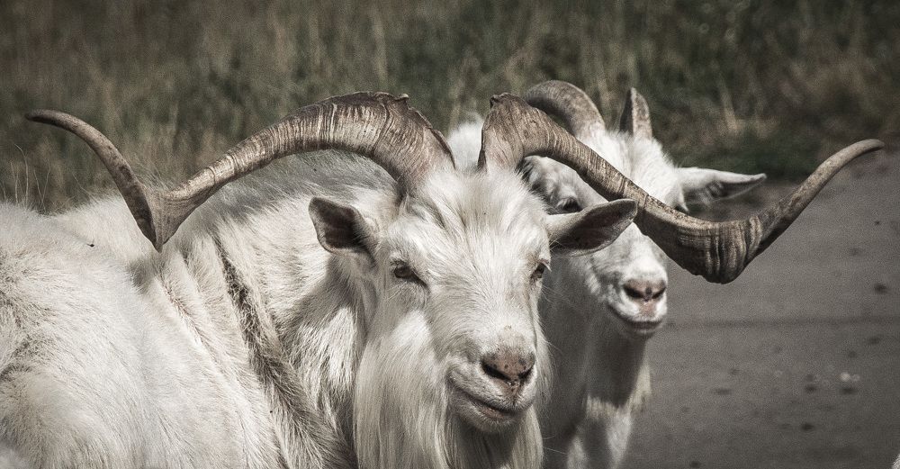 Photograph by Александр Халимов