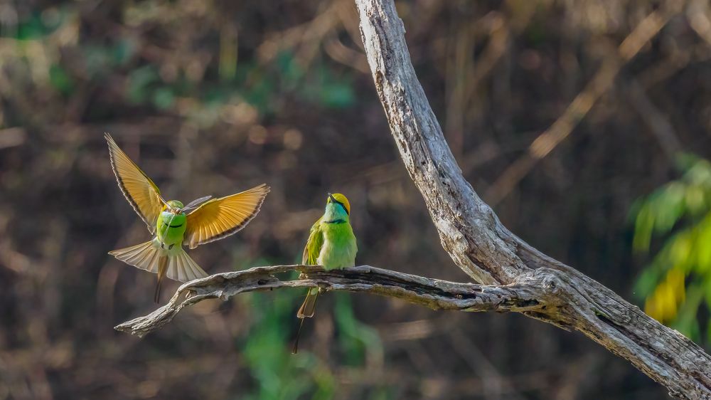 Photograph by Venkat Mangudi