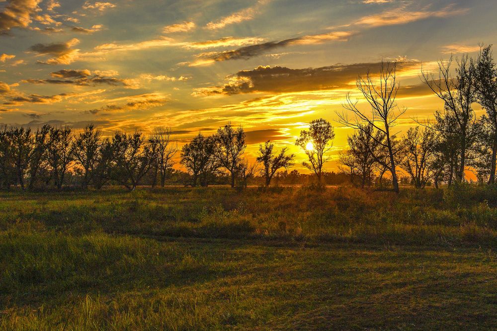 Photograph by Николай Семенов