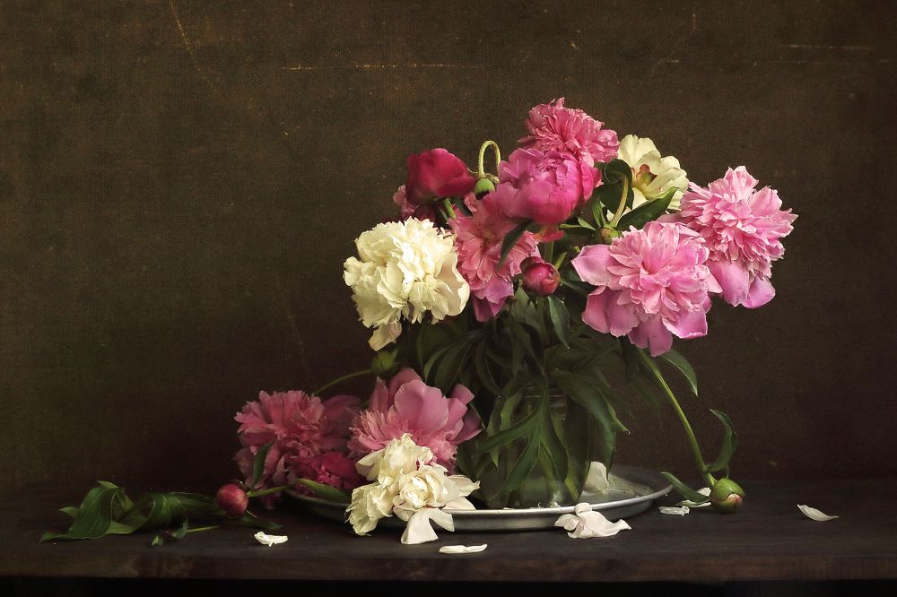 Фотография автора ТАТЬЯНА ЗАХАРОВА