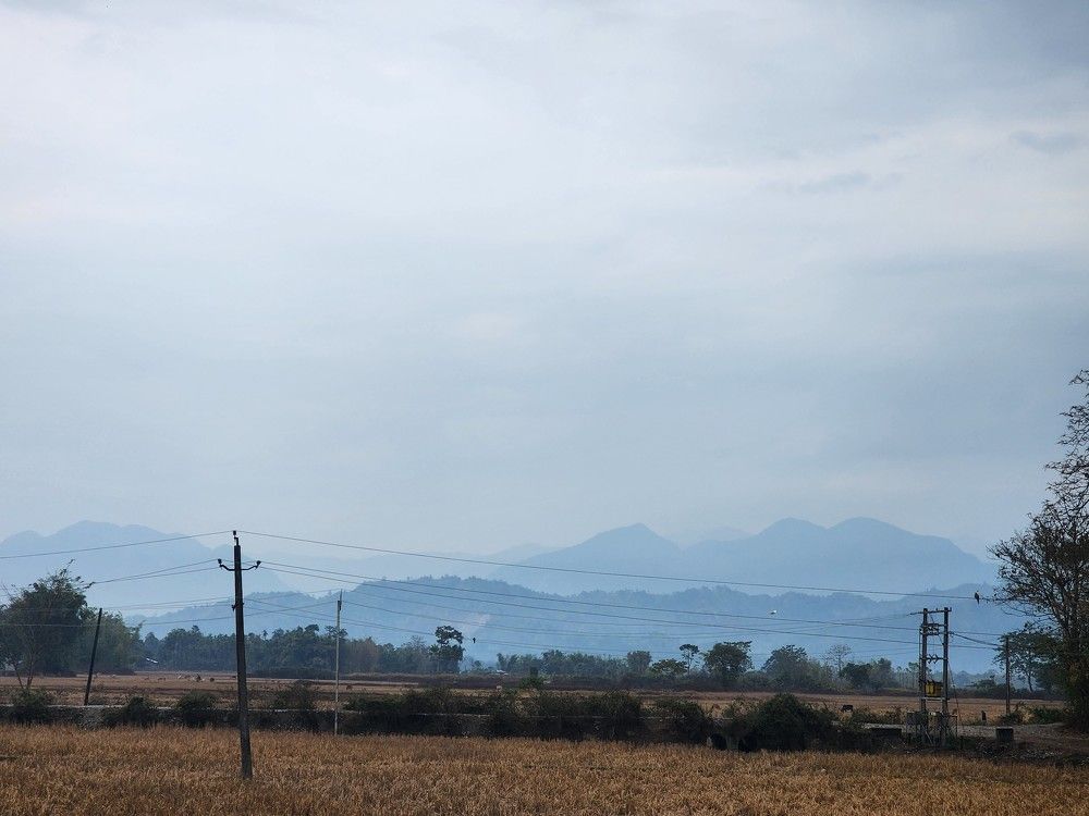 Photo #10370549