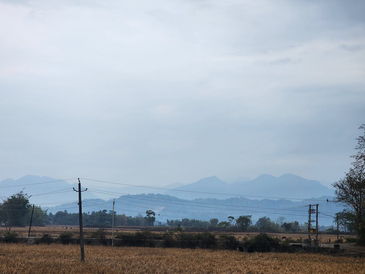 Photo #10370549