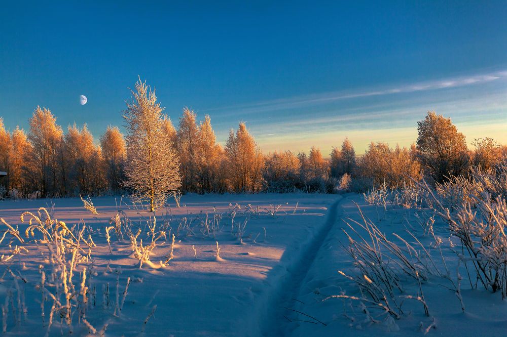Photograph by Валентин Кузьмин