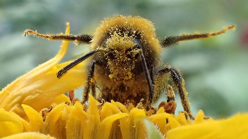 Перед взлётом