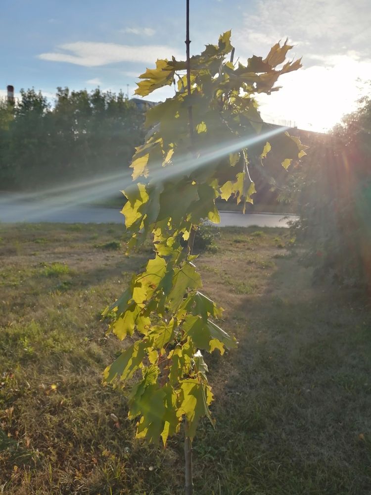 Photograph by Наталия