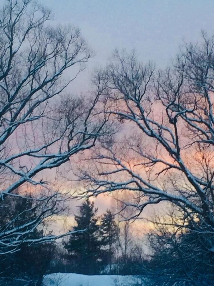 Photograph by Антонина Михалева