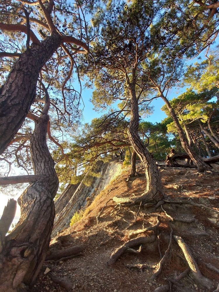 Photograph by Виталий Тесаков