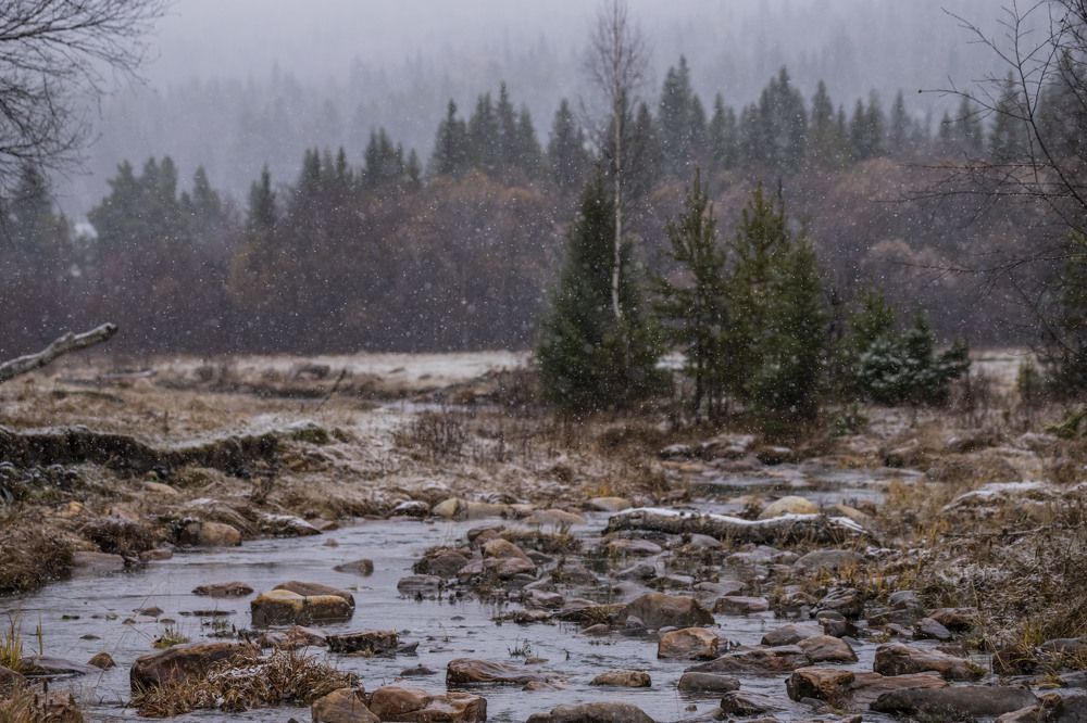 Photograph by Елена Перминова