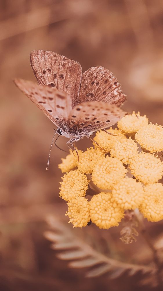 Photograph by Ирина Львова