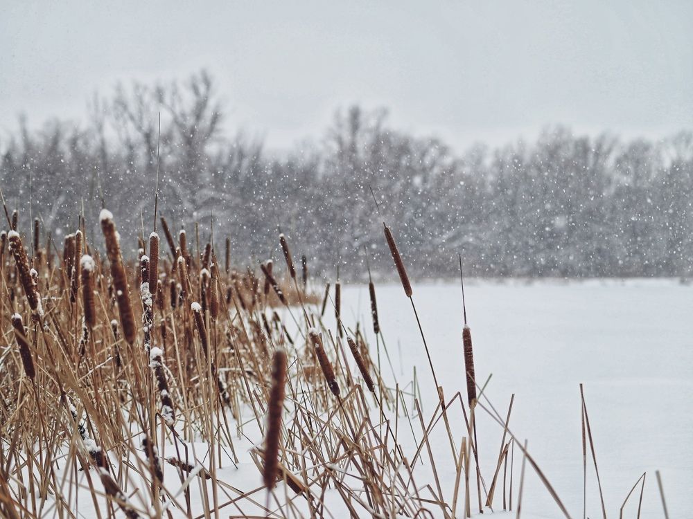 Photograph by Бобкин Алексей
