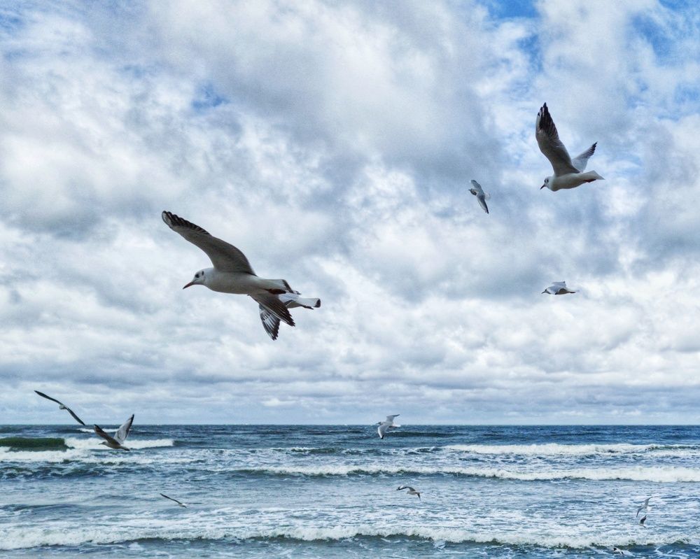 Photograph by Женя Жданова