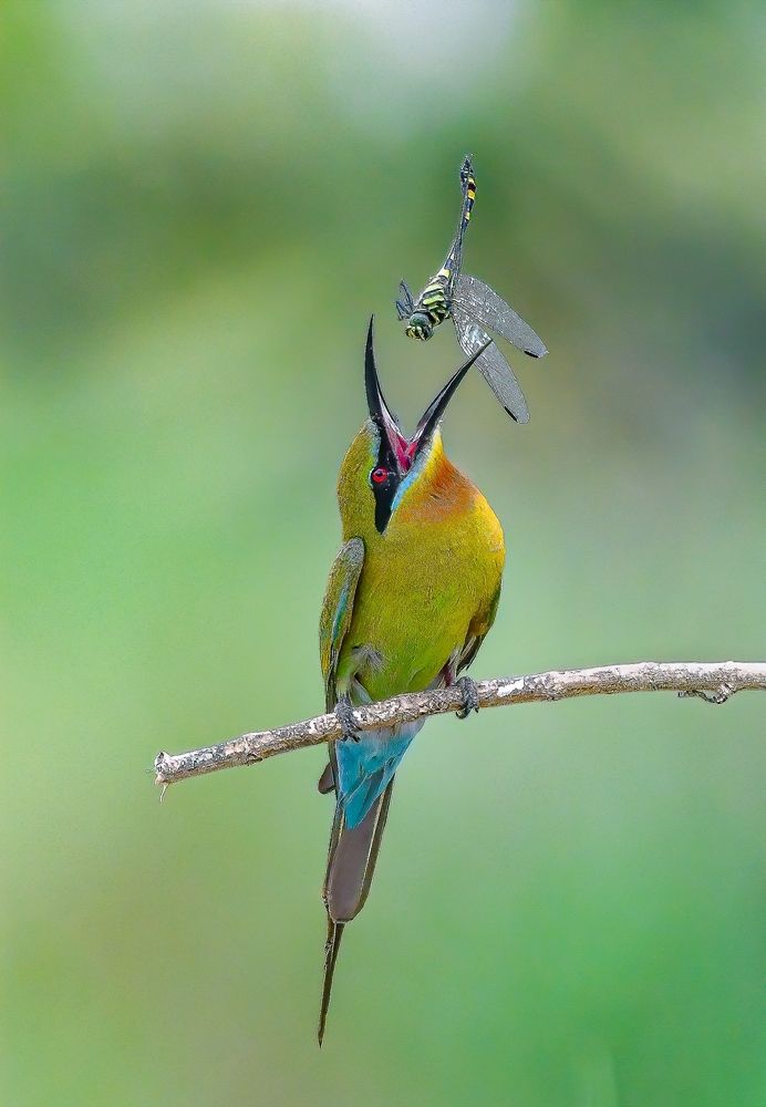 Photograph by Md Rezwan