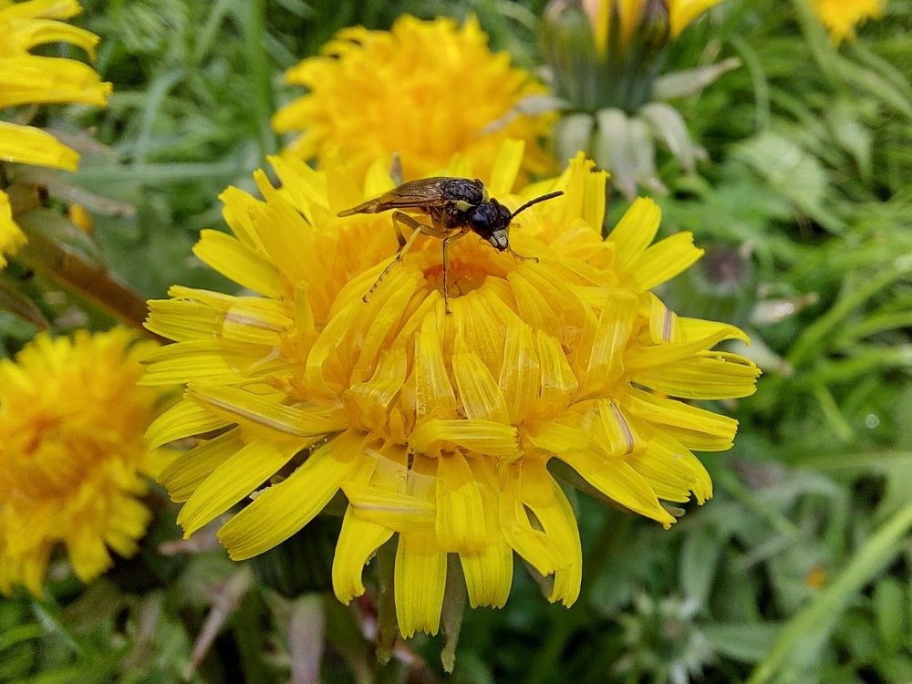 Photograph by Елена Ельчанинова