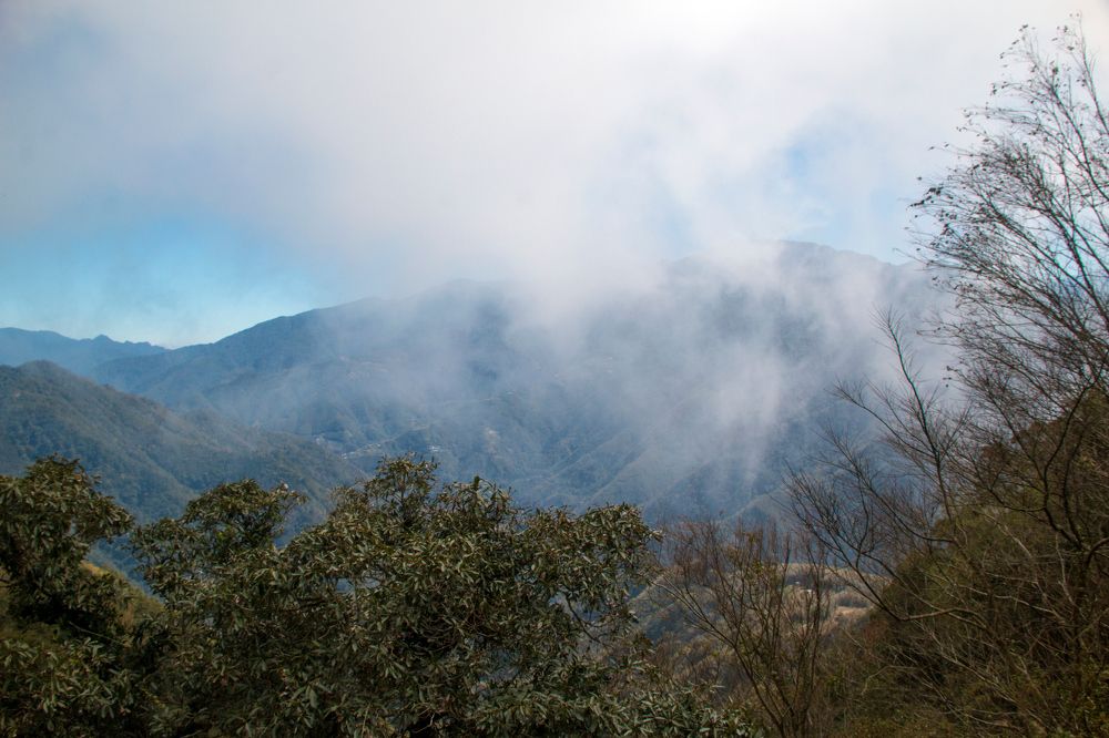 Photograph by  賴清淇