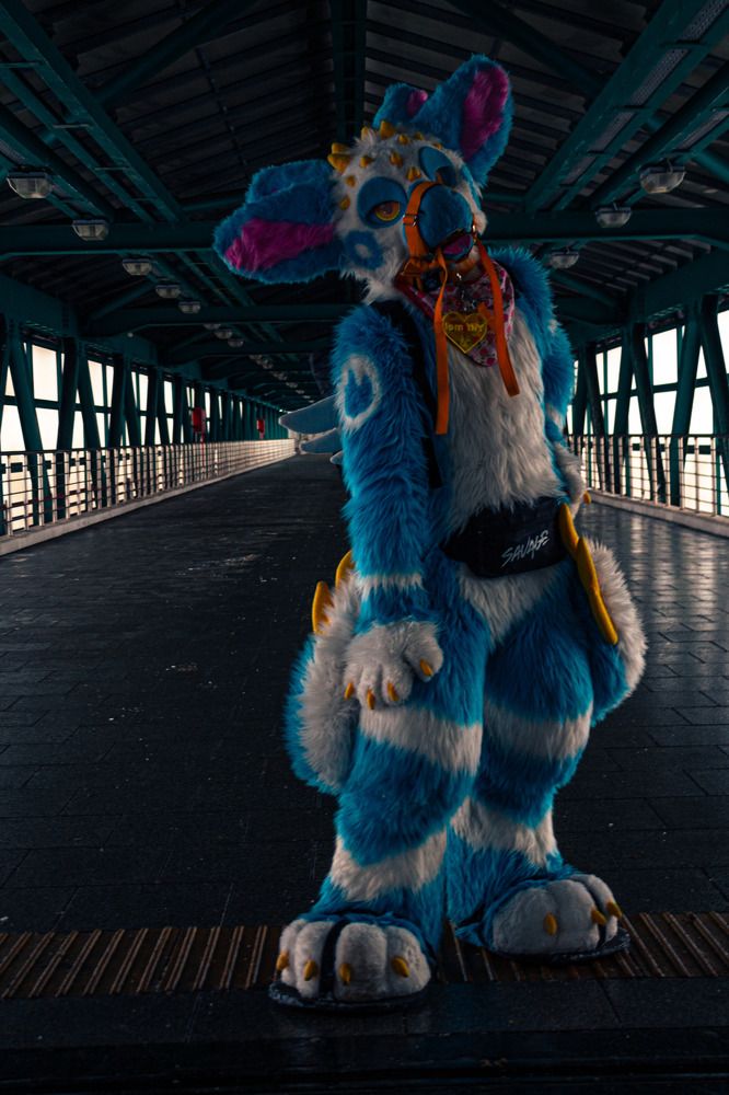 Photograph by Стефан Сметанов