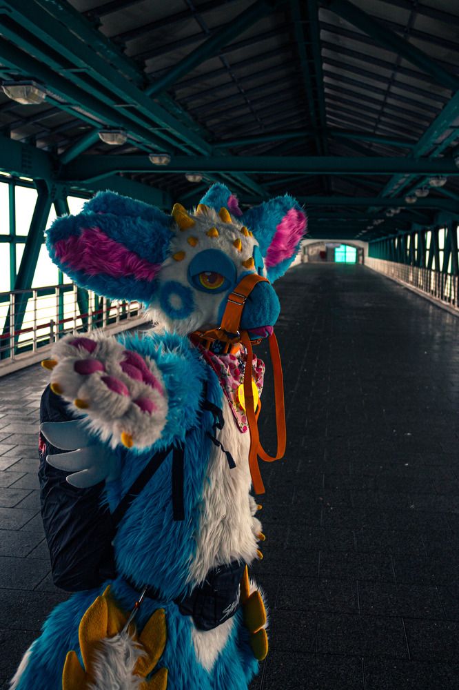 Photograph by Стефан Сметанов