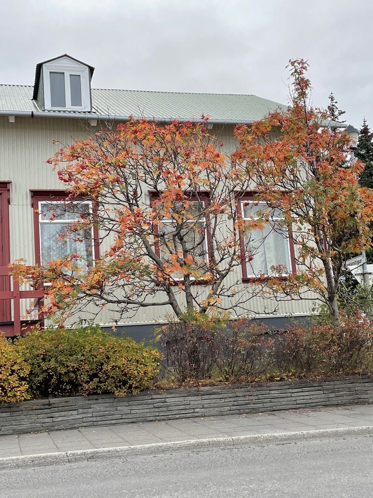 Photograph by Helga Guðjónsdóttir