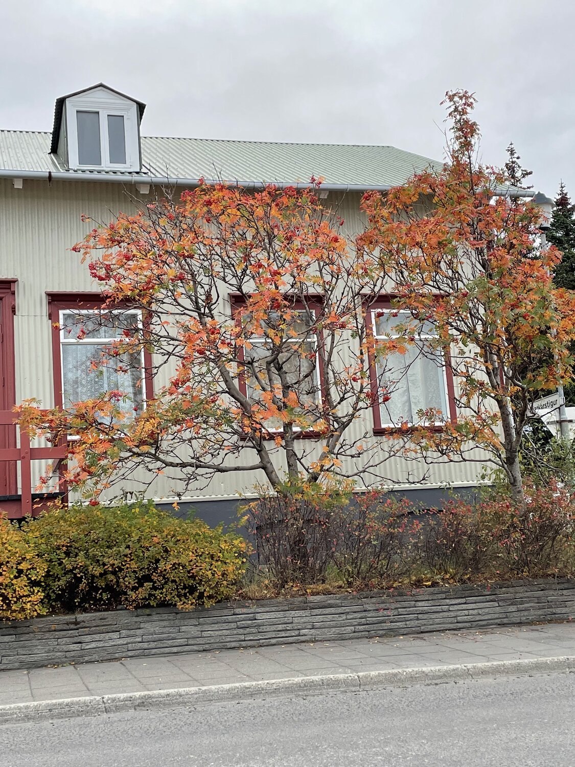 Photo #10370980