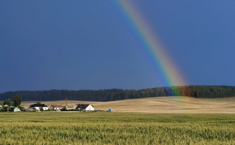 Photograph by Дмитрий Дрозд