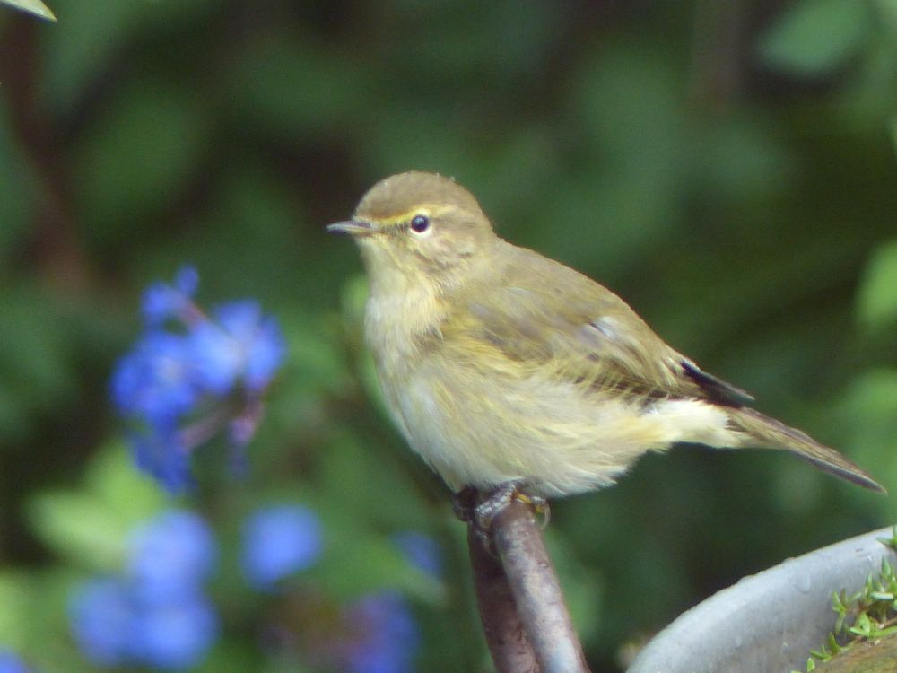 Photograph by Isabella Northrop