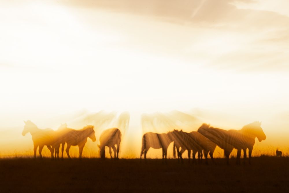 Фотография автора nitin jain