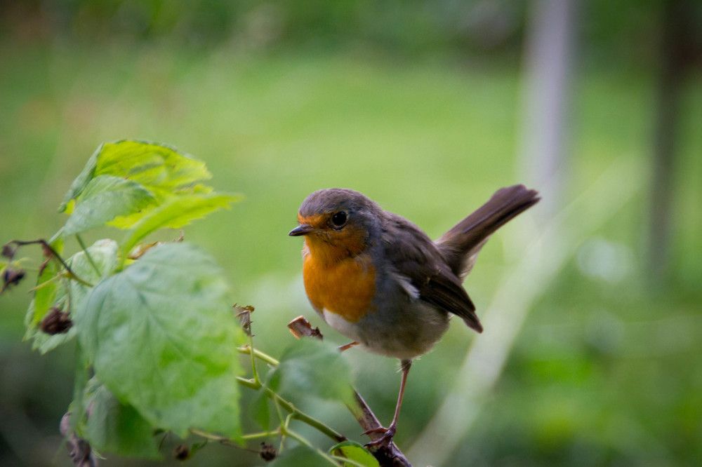 Фотография автора Юлия Кранина