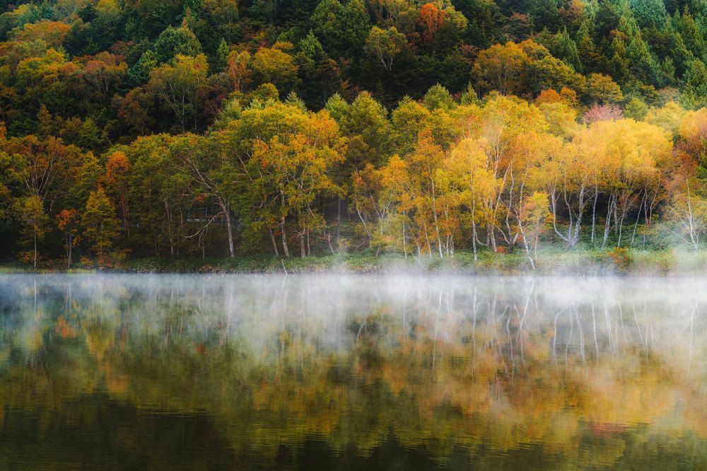 Фотография автора Nguyen Khac Tien