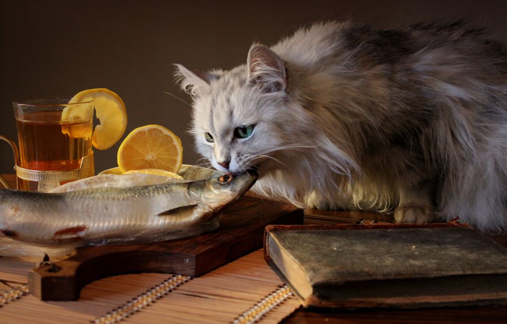 Photograph by Зоя Быкова