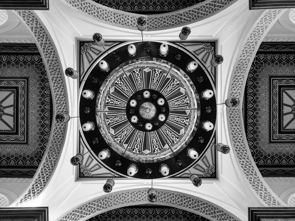 Photograph by Alaa Nour