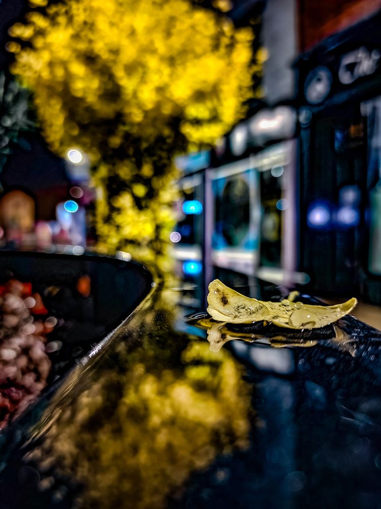 Фотография автора Александр Адамович