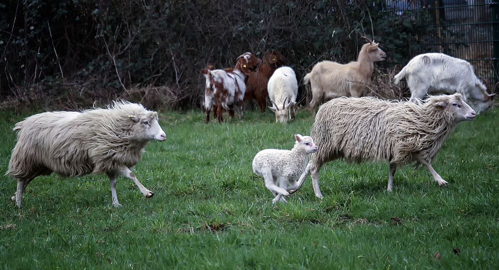 Фотография автора Александр