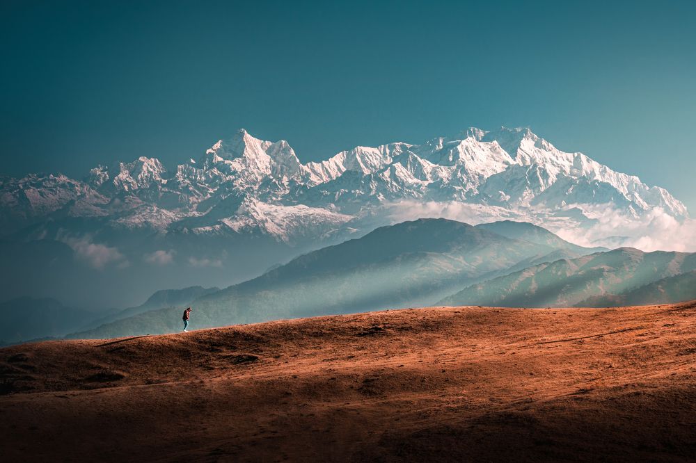 Alone but Not Lonely