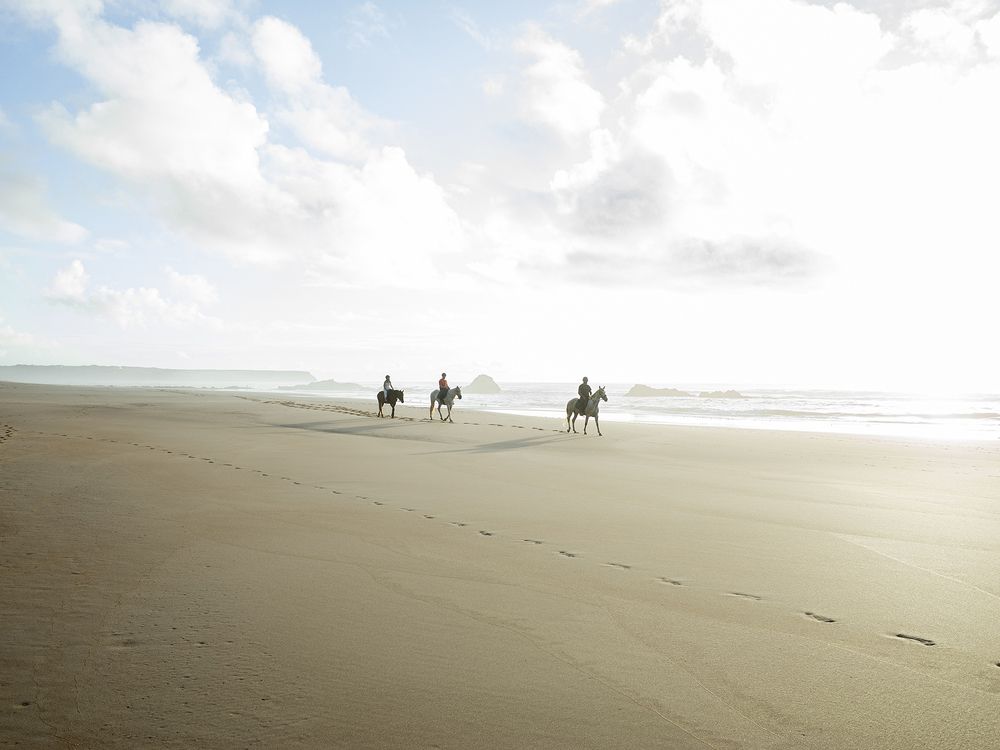 Photo #10371207