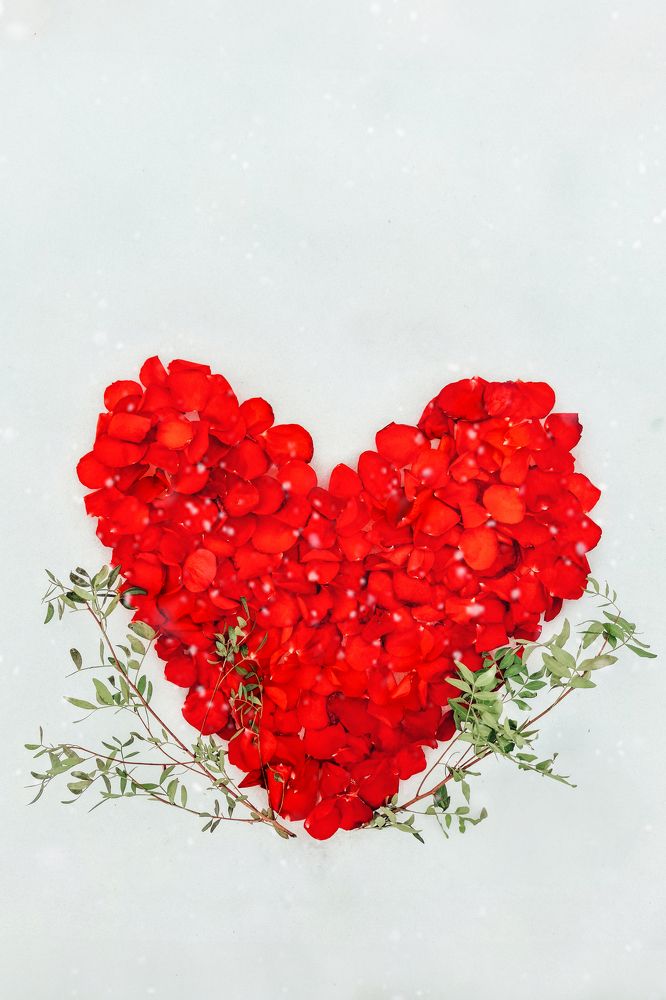 Фотография автора Кристина Догодька