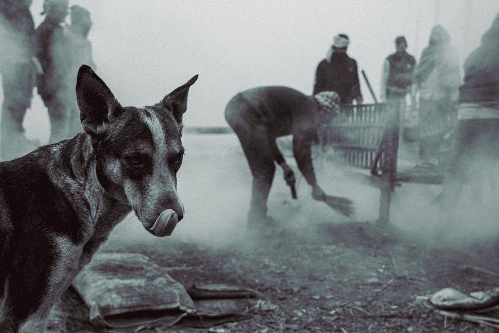 Photograph by Akshay Rupchandani