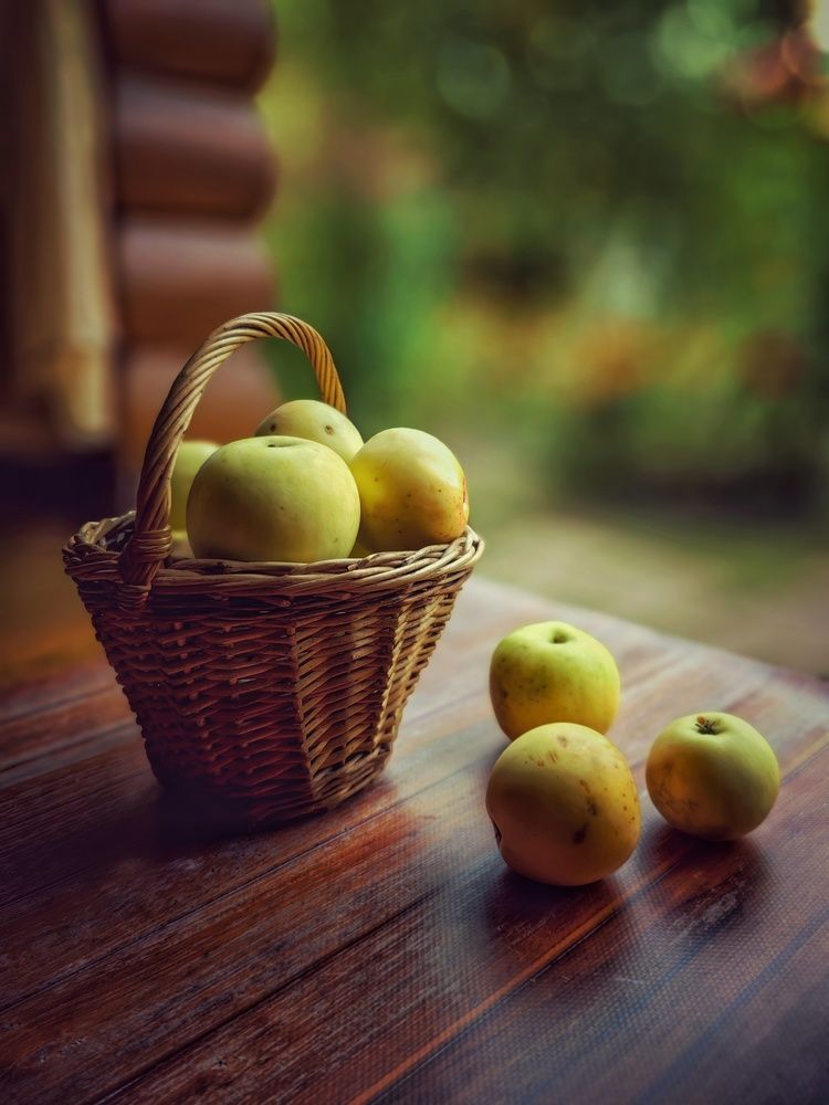 Photograph by Ekaterina Fadeeva